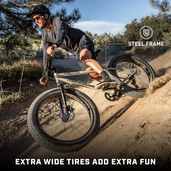 Homestock Antique Mens And Women Fat Tire Mountain Bike - Image 2