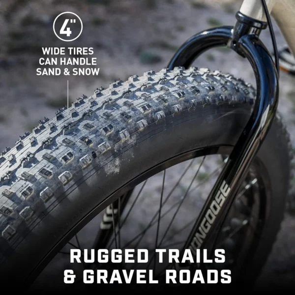 Homestock Antique Mens And Women Fat Tire Mountain Bike - Image 3